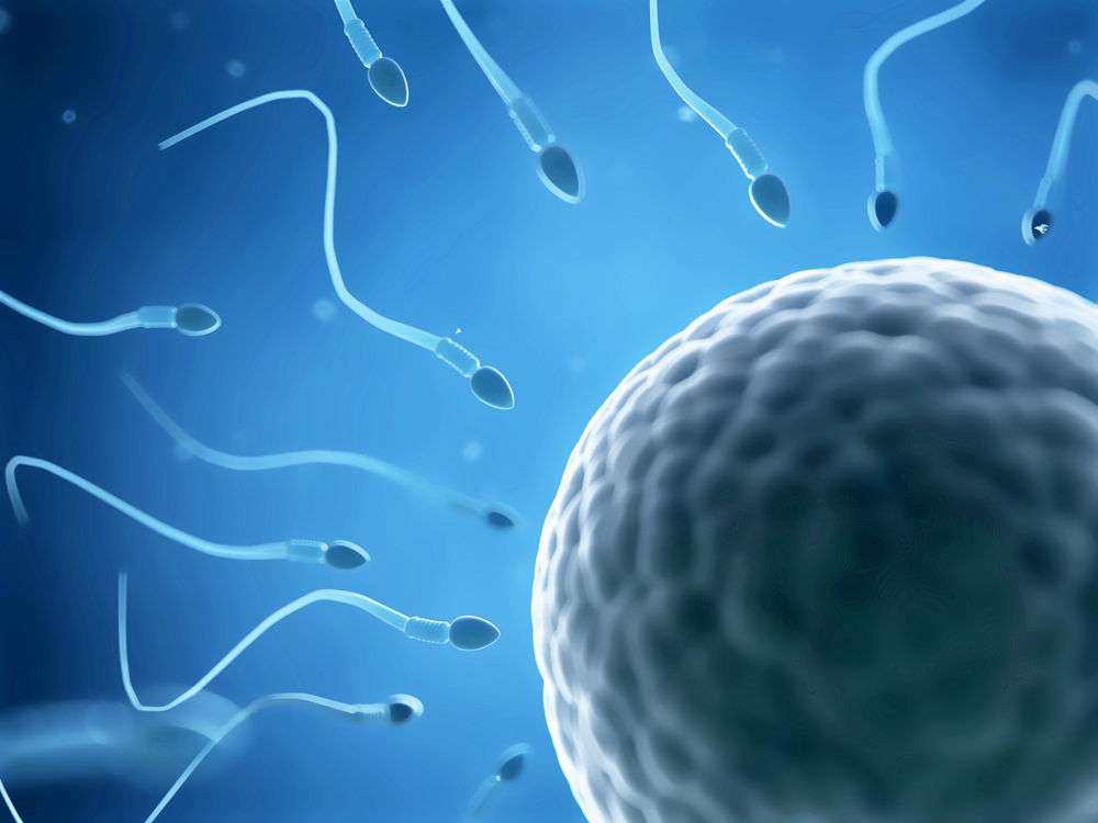 Gaziantep, Gaziantep tüp bebek, Gaziantep tüp bebek merkezi, Tüp bebek, Gaziantep bebek, Tüp bebek tedavisi, tedavi, bebek, anne, baba, çocuk, IVF, Testisten Sperm Arama, TESA, Aşılama, IUI, Mikroenjeksiyon, ICSI, Genetik Tarama, PGD, İlişki Planlama ve Yumurtlama Takibi, Embriyo Dondurma