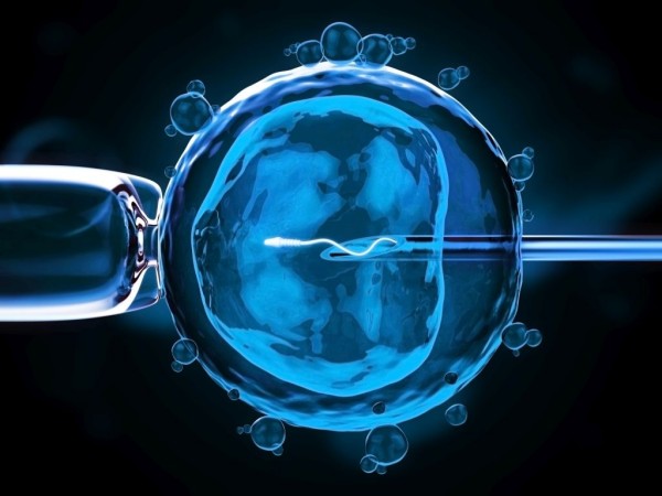 Gaziantep, Gaziantep tüp bebek, Gaziantep tüp bebek merkezi, Tüp bebek, Gaziantep bebek, Tüp bebek tedavisi, tedavi, bebek, anne, baba, çocuk, IVF, Testisten Sperm Arama, TESA, Aşılama, IUI, Mikroenjeksiyon, ICSI, Genetik Tarama, PGD, İlişki Planlama ve Yumurtlama Takibi, Embriyo Dondurma